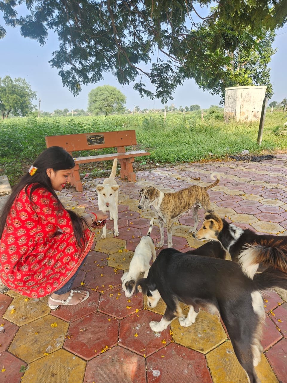 Pets